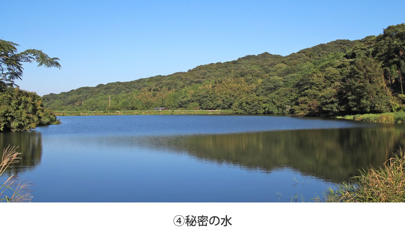 秘密の水