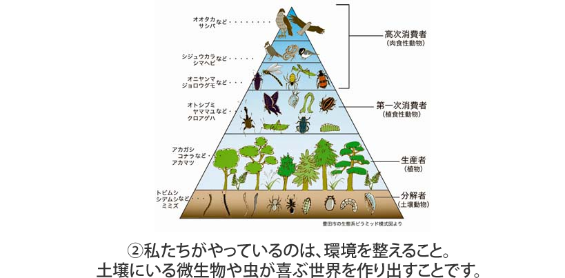 私たちがやっているのは、環境を整えること。土壌にいる微生物や虫が喜ぶ世界を作り出すことです