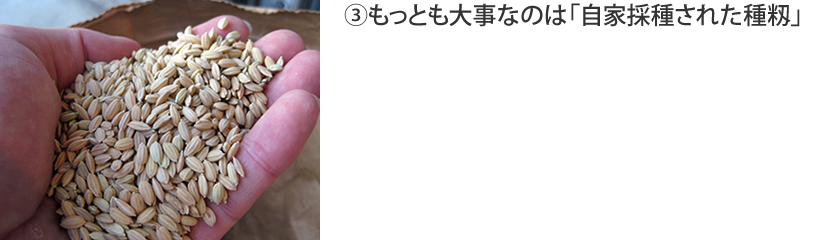 もっとも大事なのは自家採種された種籾