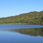 大分県国東半島の水の特徴-自然栽培米ササニシキ-