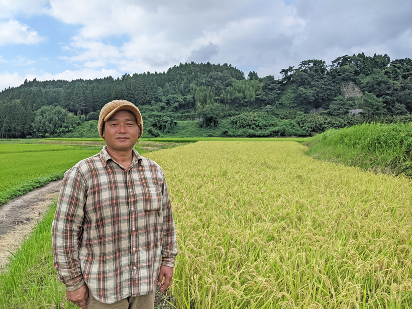 自然栽培米ササニシキ農家