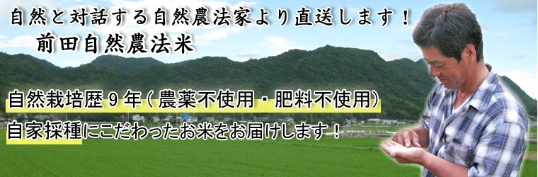 熊本県自然栽培米ミナミニシキ
