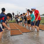 土遊びが精神に与える影響|村田自然栽培米ササニシキ