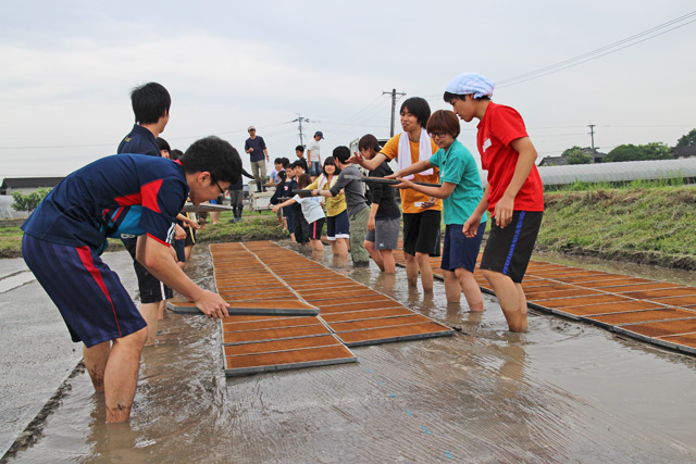 土遊びが精神に与える影響|村田自然栽培米ササニシキ