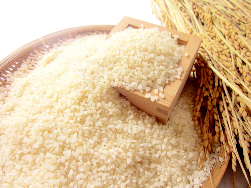 あっさり系のお米ササニシキ|自然栽培米ササニシキ