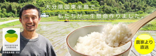 大分自然栽培米ササニシキ540