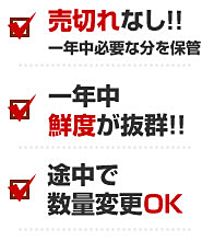 年間契約コース