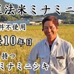 前田自然農法米ミナミニシキ