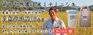 前田自然農法米ミナミニシキ