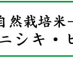 喜び米 自然栽培米ササニシキ・ヒノヒカリ