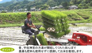 自然栽培米ササニシキ玄米麺の特徴