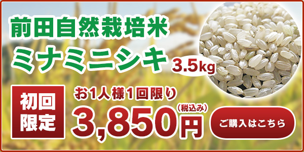 前田自然栽培米ミナミニシキ初回限定