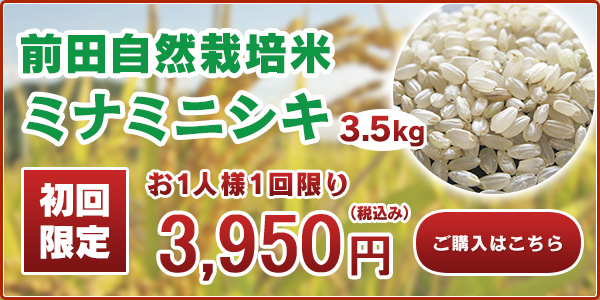 前田自然栽培米ミナミニシキ初回限定