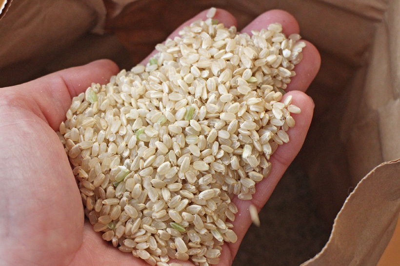 自然栽培米ササシグレ