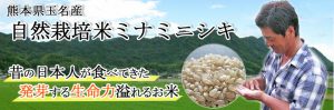 前田自然栽培米ミナミニシキ