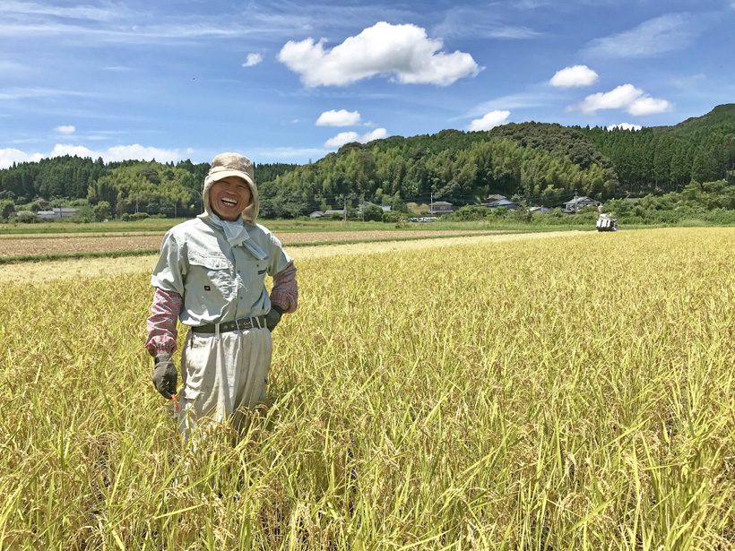 川﨑自然栽培米ササニシキ収穫