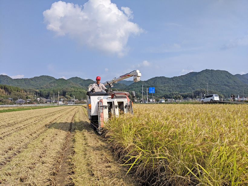 前田自然栽培米ミナミニシキ収穫