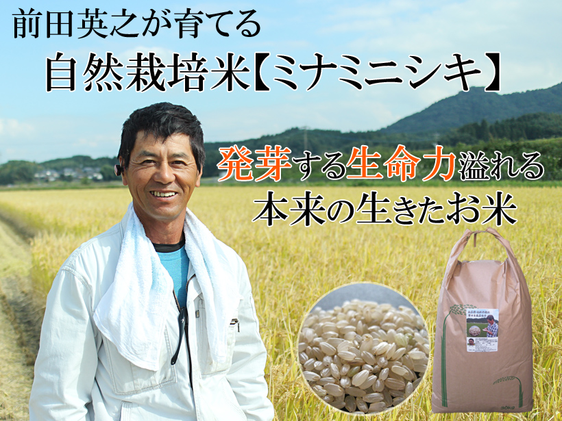 自然栽培米ミナミニシキ