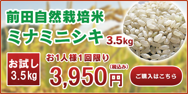 前田自然栽培米ミナミニシキ初回限定