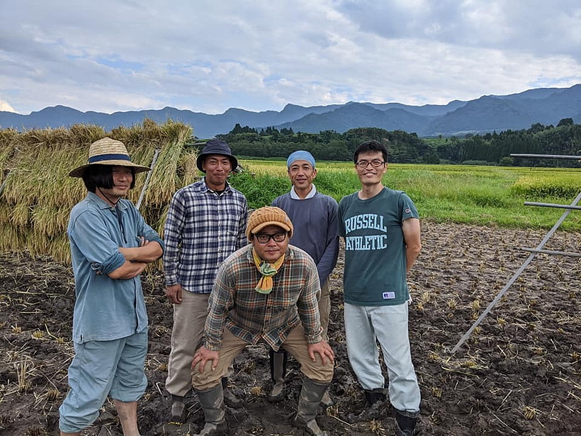 大森自然栽培米収穫作業