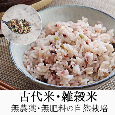 生産地情報 自然栽培米ササニシキ-日本に残したい伝統のお米専門店 