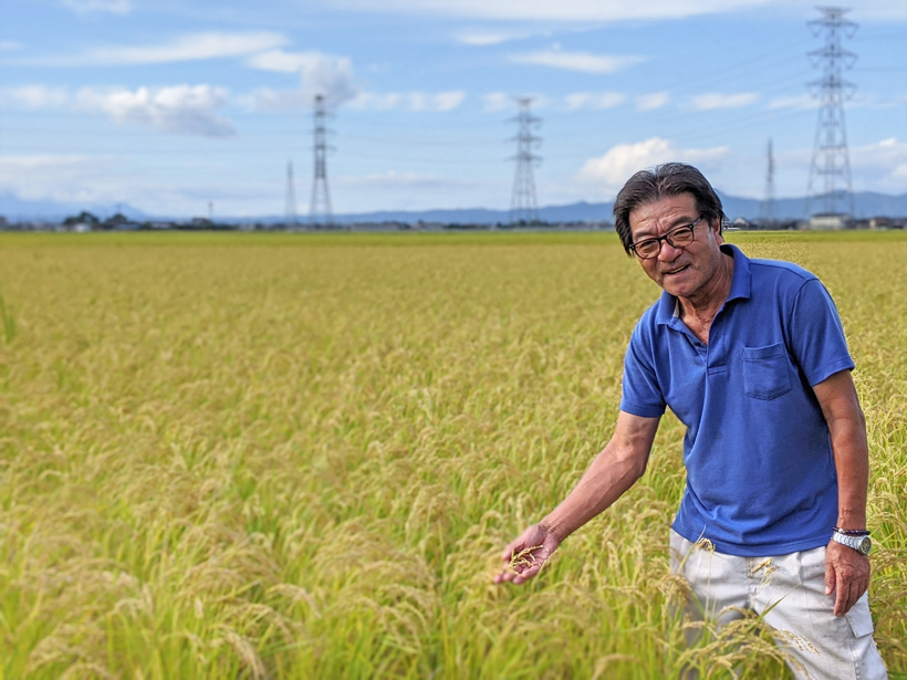 自然栽培米作り37年以上の稲本さんが八代で自然栽培を始めたきっかけとは？