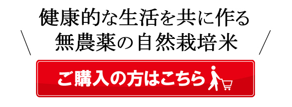 諌山英城の自然栽培米イセヒカリ・ヒノヒカリ | 大分県日田市の無農薬