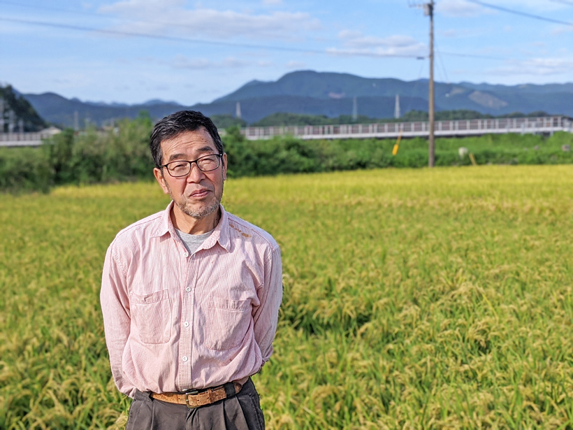 諌山英城の自然栽培米イセヒカリ・ヒノヒカリ | 大分県日田市の無農薬