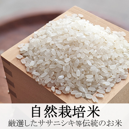 自然栽培米ササニシキ等の伝統のお米