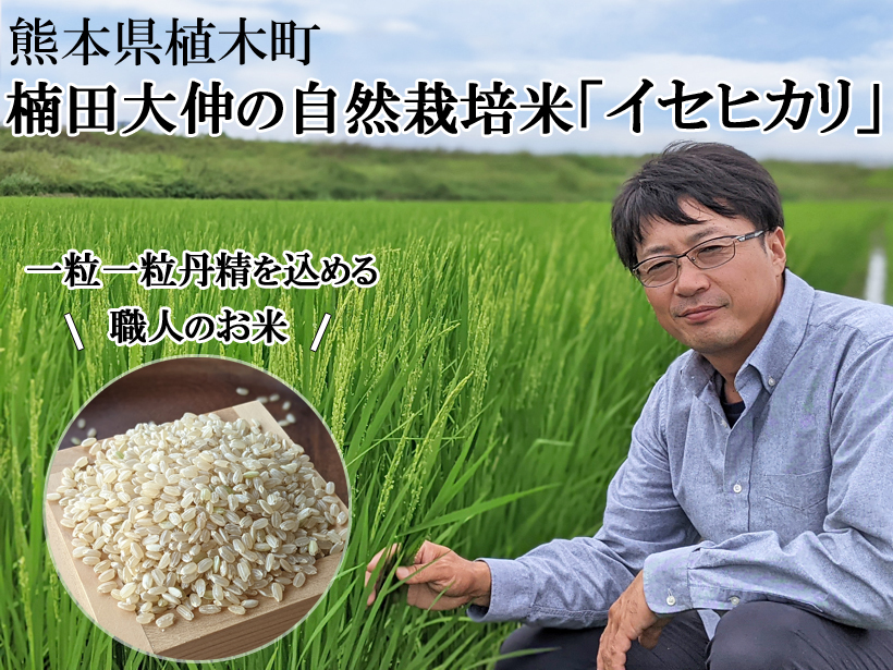 楠田大伸の自然栽培米イセヒカリ