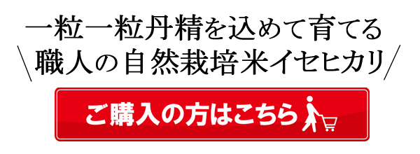 楠田大伸の自然栽培米イセヒカリ 自然栽培米ササニシキ-在来種・伝統の