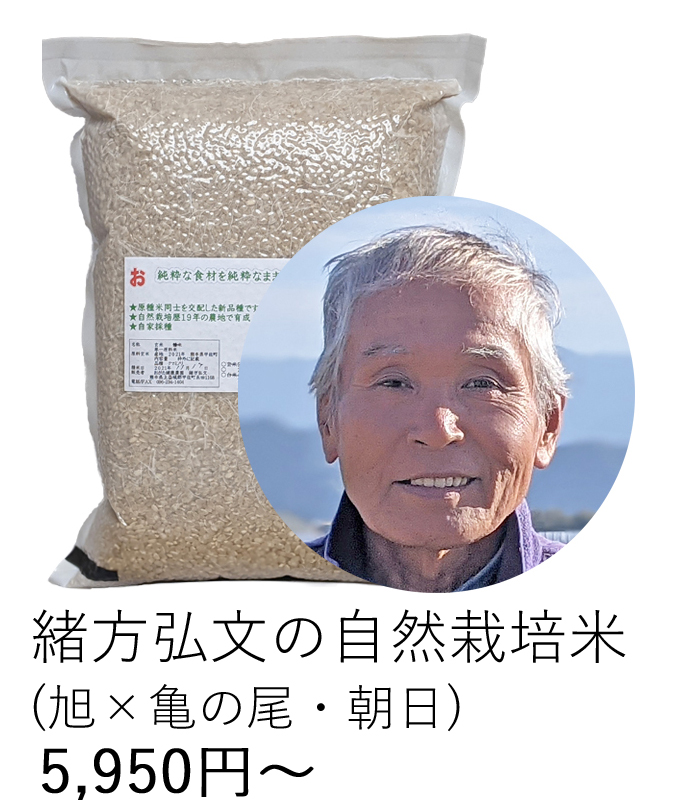 緒方自然栽培米