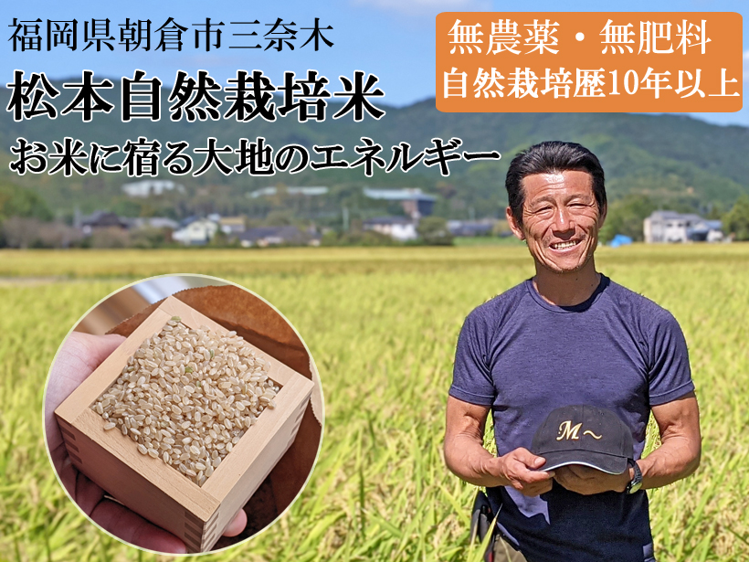 自然栽培米農家松本一宏