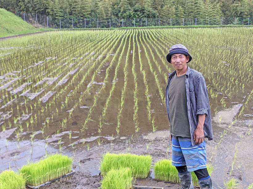 自然栽培米農家赤城誓一の田植え後