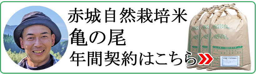 赤城自然栽培米亀の尾年間契約