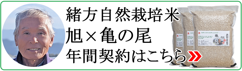 緒方自然栽培米旭×亀の尾年間契約