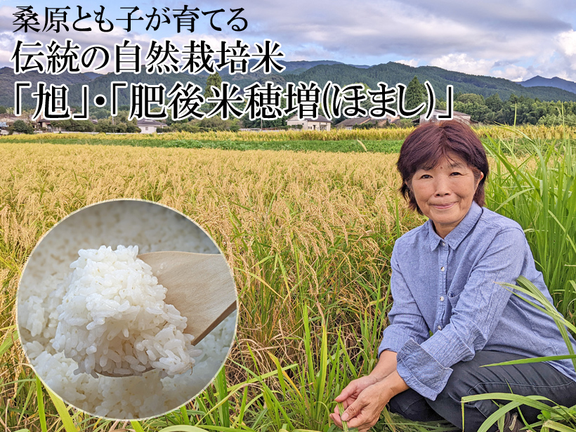 桑原とも子の伝統の自然栽培米