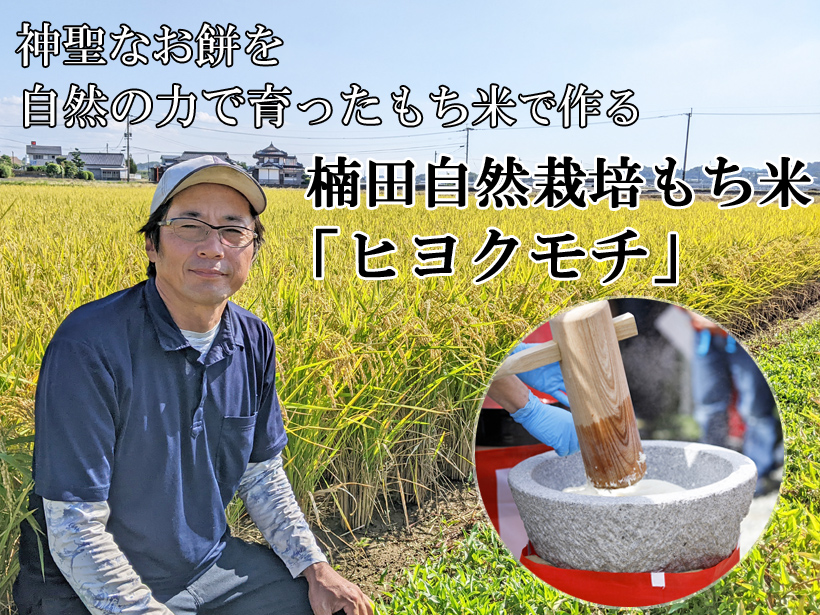 楠田自然栽培米もち米ヒヨクモチ
