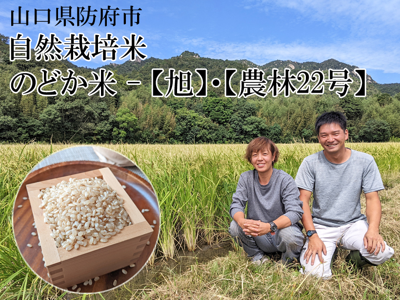 のどか米自然栽培米