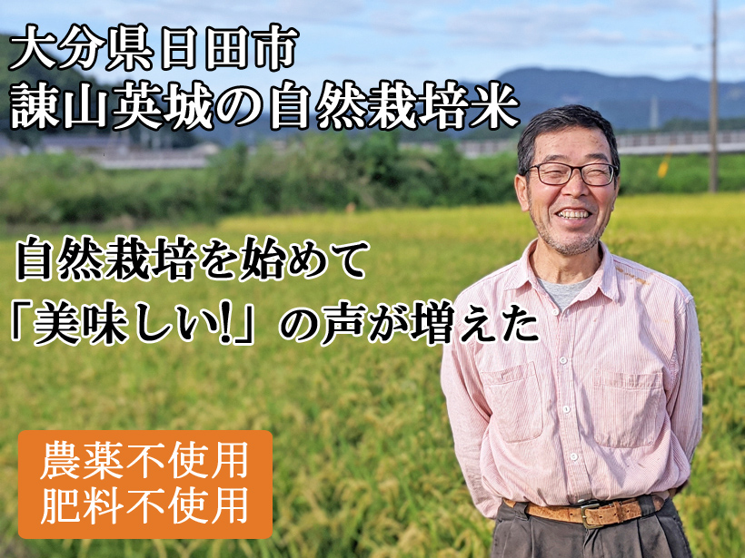 諌山英城の自然栽培米イセヒカリ・ヒノヒカリ | 大分県日田市の無農薬