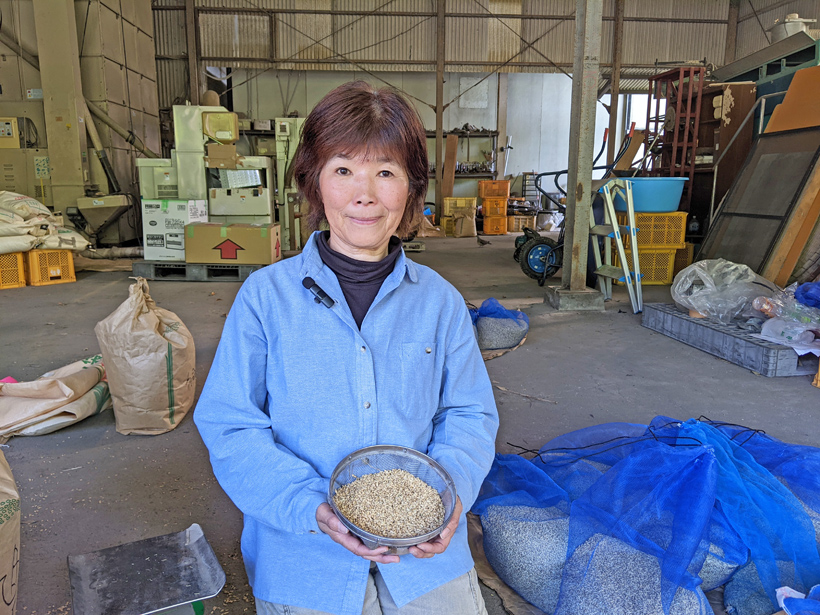 昔の品種を作る自然栽培米農家桑原