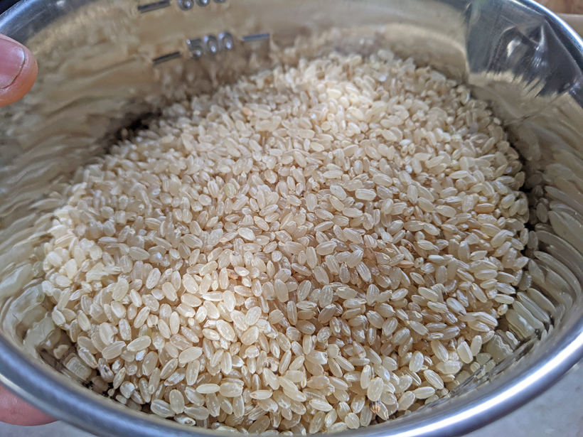 自然栽培米「農林22号」