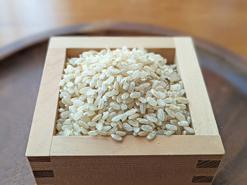 自然栽培米農林22号の玄米