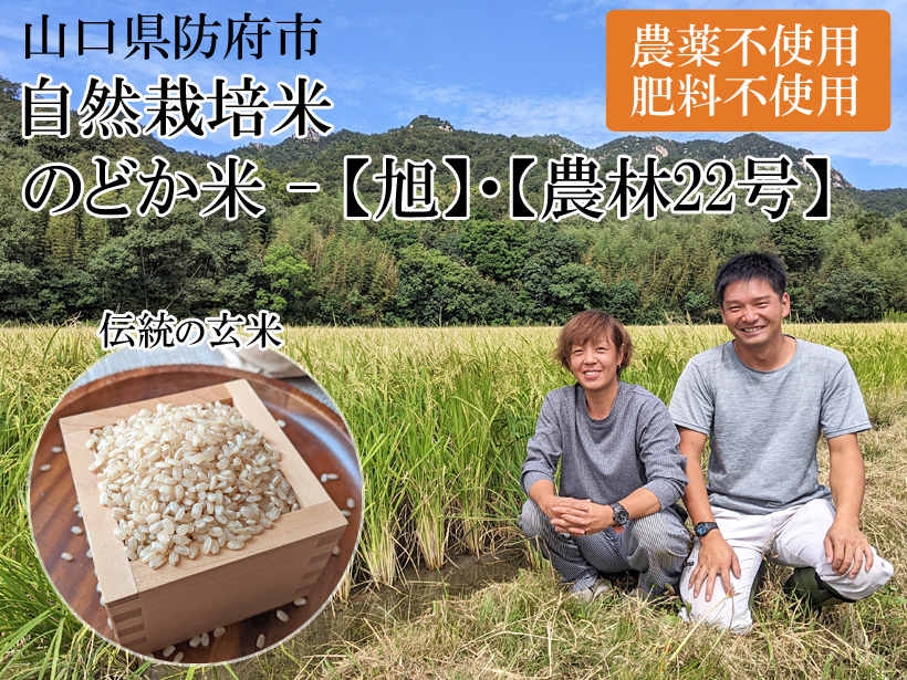 のどか米-山口県山本自然栽培米