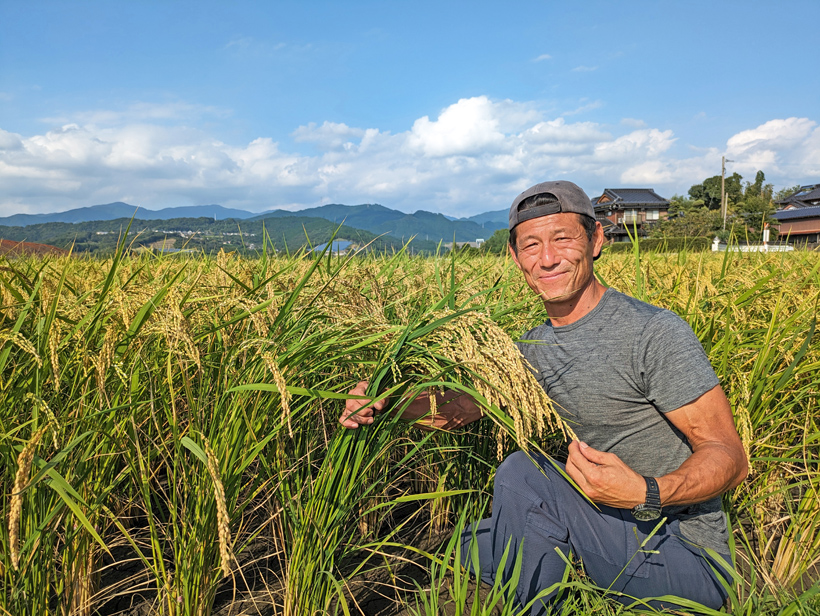 自然栽培米農家松本一宏