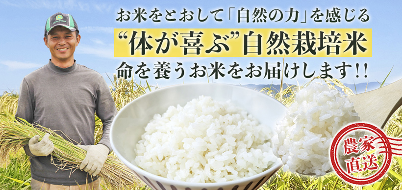 自然栽培米サイト