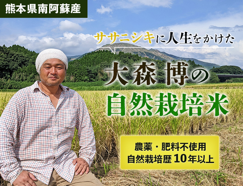 大森博の自然栽培米ササニシキ-熊本県南阿蘇の湧き水で育った無農薬のお米 自然栽培米ササニシキ-在来種・伝統のお米産地直送専門店