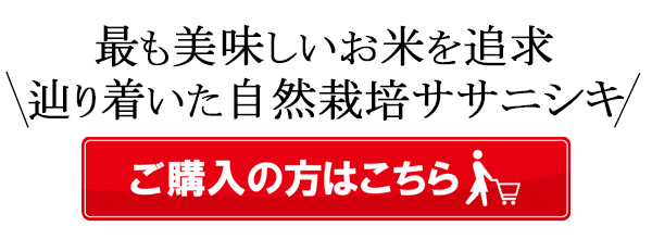 大森自然栽培米ササニシキはこちら