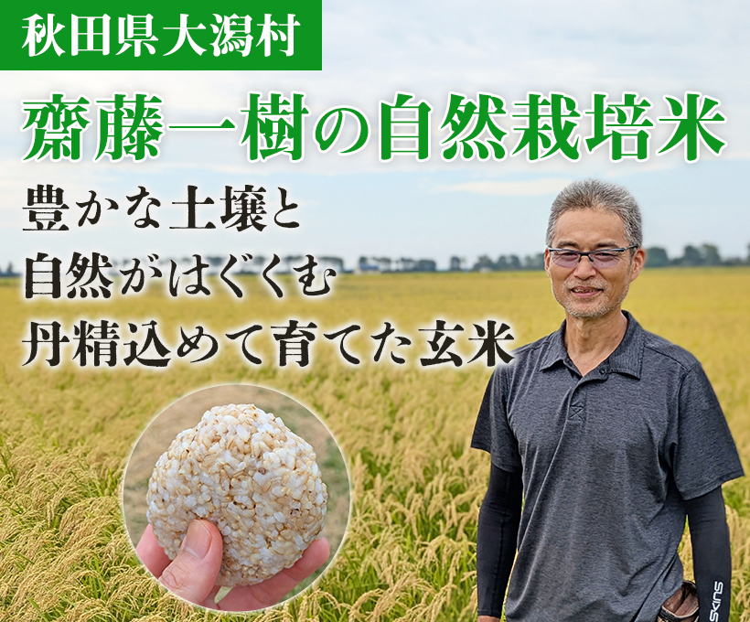齋藤一樹の自然栽培米