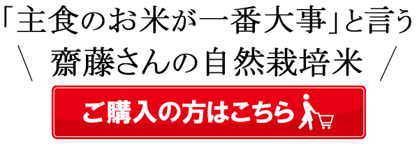 齋藤自然栽培米はこちら